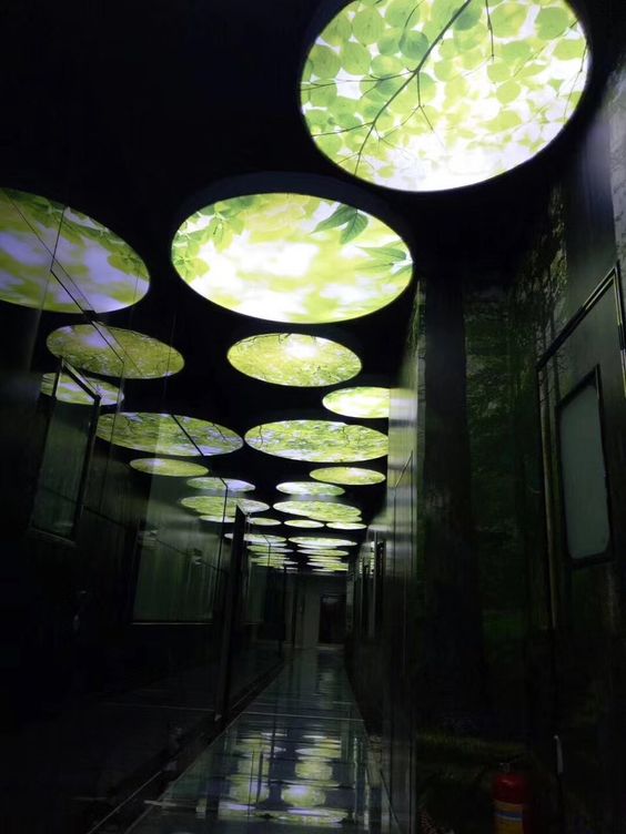 stretch ceiling barrisol lamps dubai