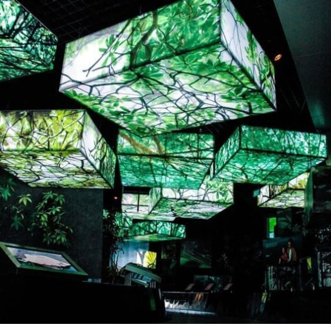 stretch ceiling barrisol lamps